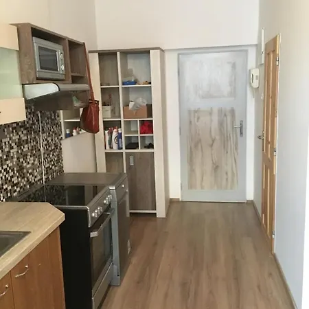 Cozy In The Center Apartment *